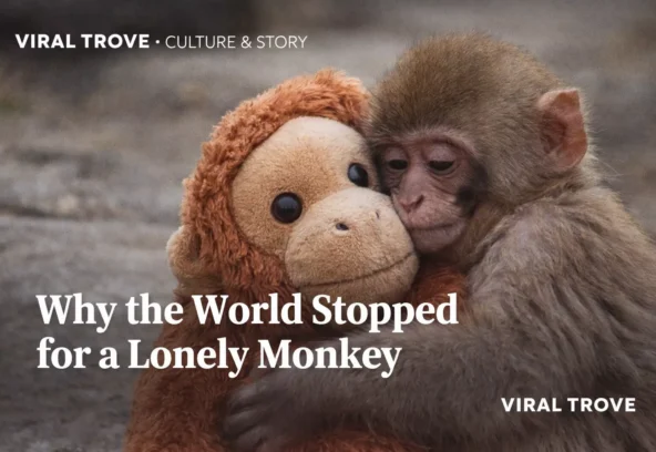 lonely-punch-69a0956e39e48