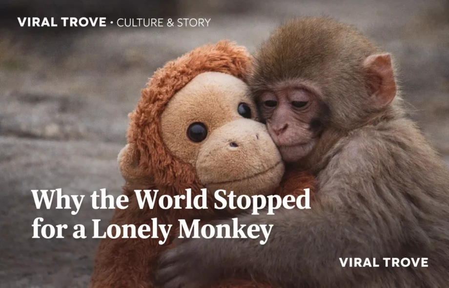 lonely-punch-69a0956e39e48